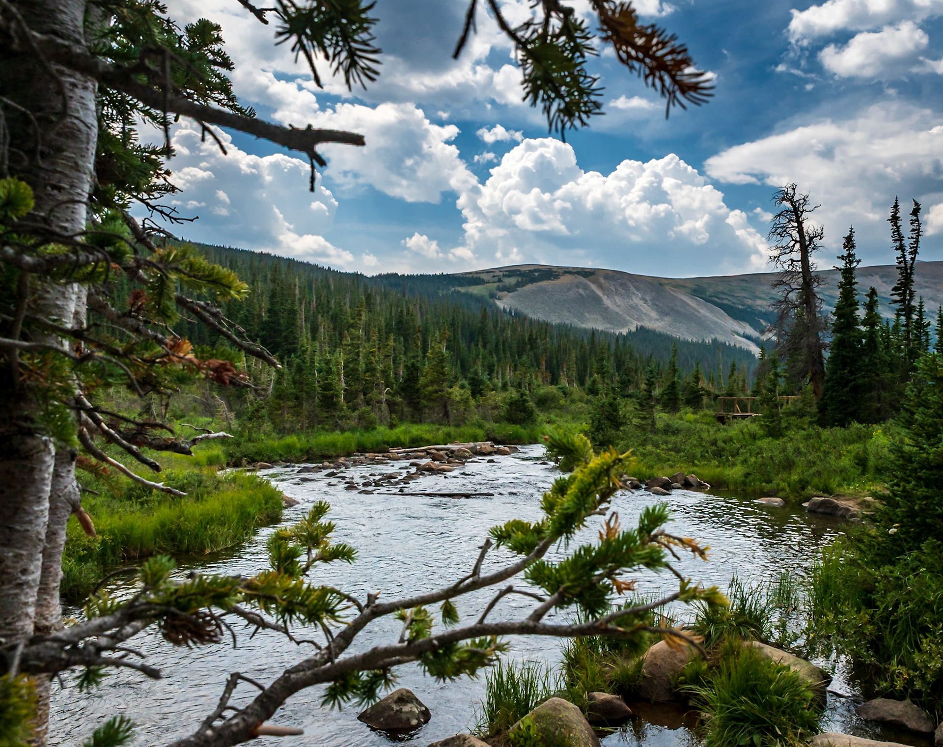 Splendor in the Mountains - South Saint Vrain Creek in the Colorado Rockies