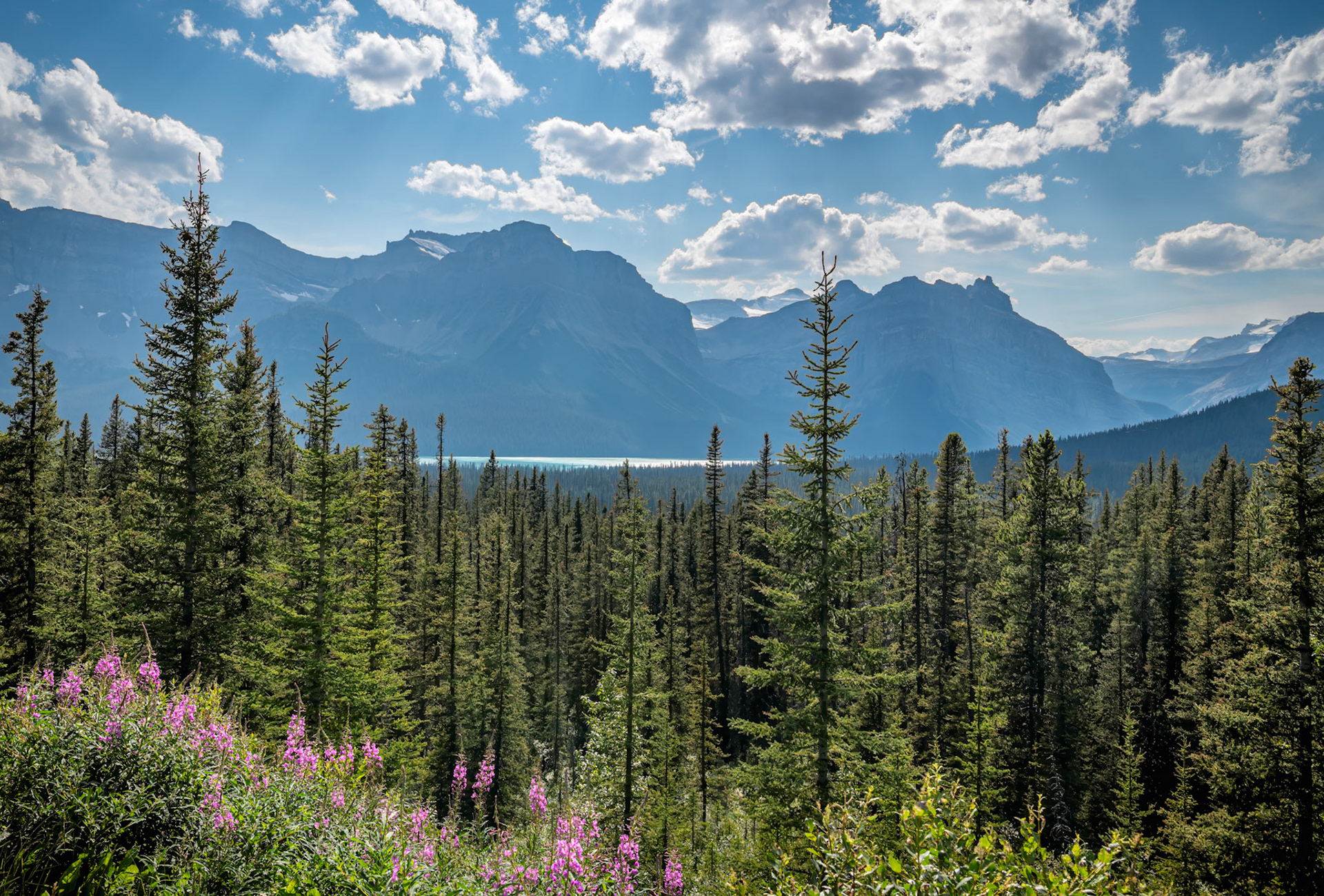 Canadian Rocky Mountain High - Overlook of Bow Lake in Banff National Park.