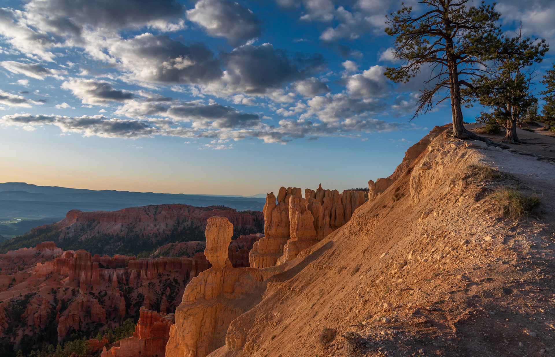 Bryce Morning Light and Shadows