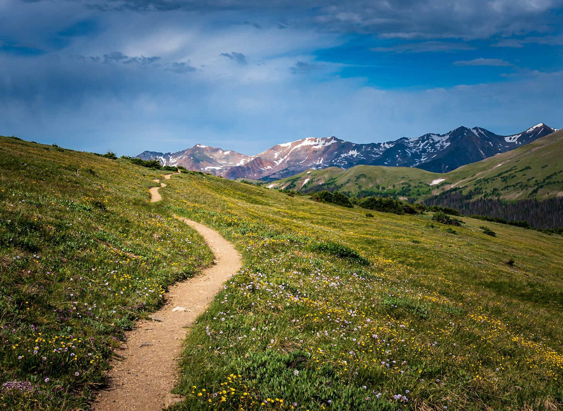 Hiking in the Rockies - On the Ute Trail, off of the Trail Ridge Road