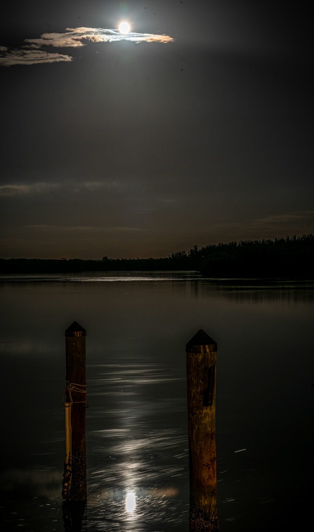 Moon Over Little Sarasota Bay