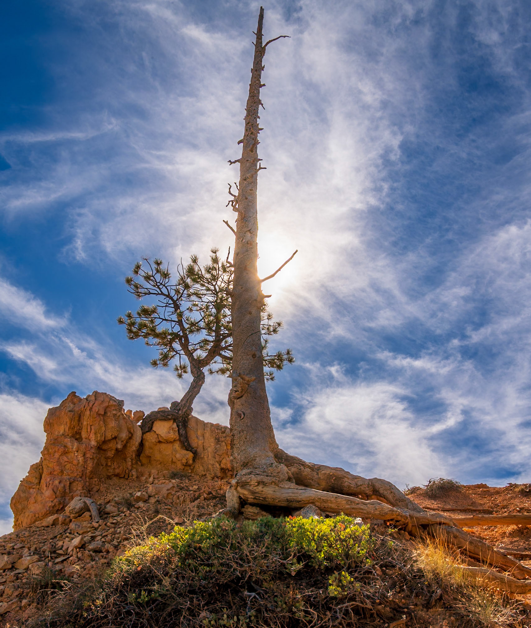 Bryce Spire And Light