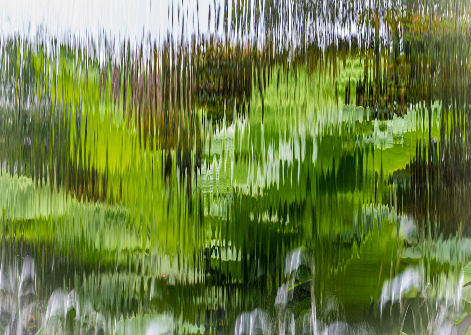 Visions Through A Waterfall - Dallas Arboretum and Botanical Garden
