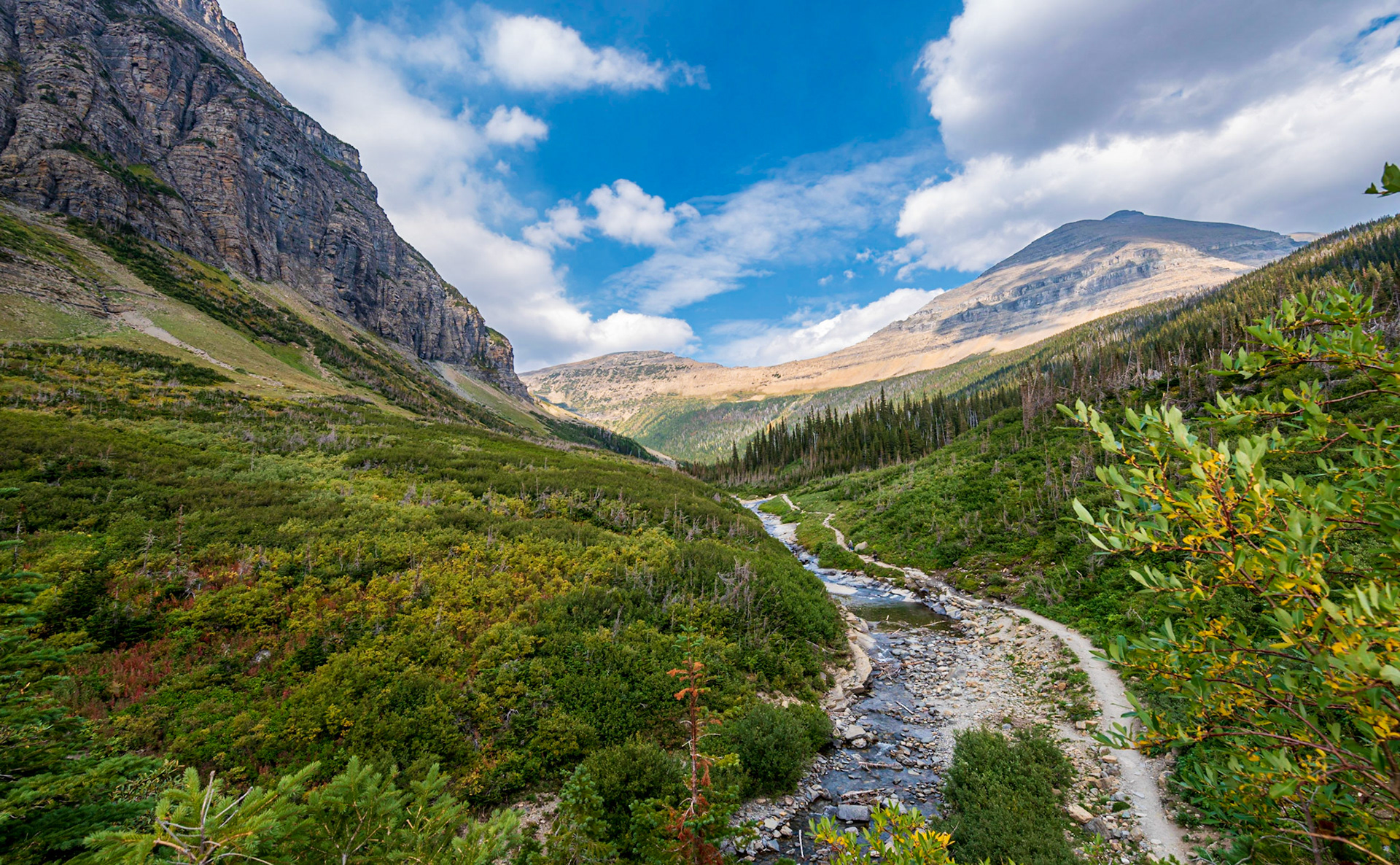 Glacier National Park Landscape along the Going to the  Sun Road and the Siyeh Pass Trail