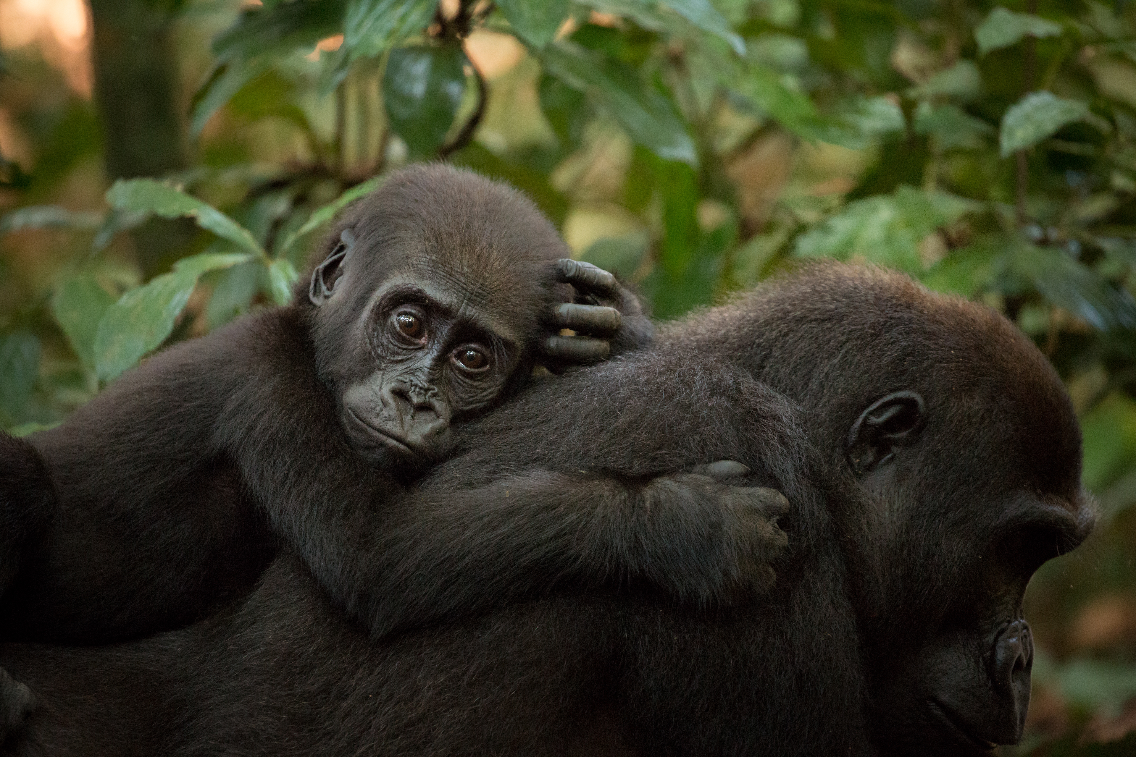 Curious about each other