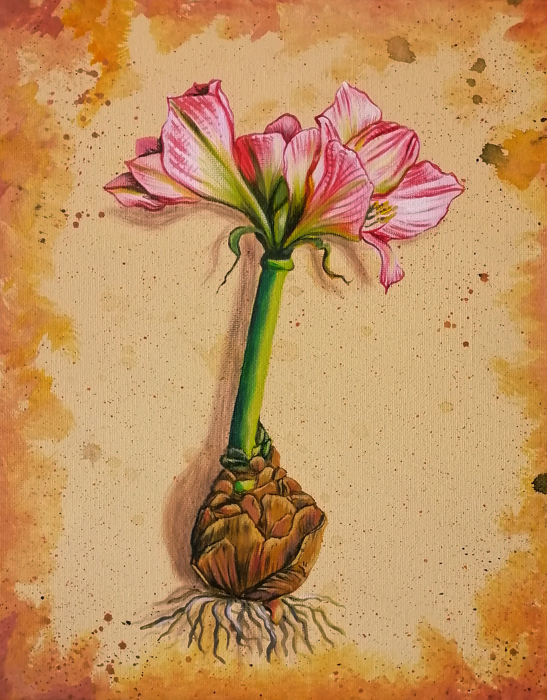 Amaryllis, 2021, Acryl auf Leinwand, 30x24cm - Preis NV