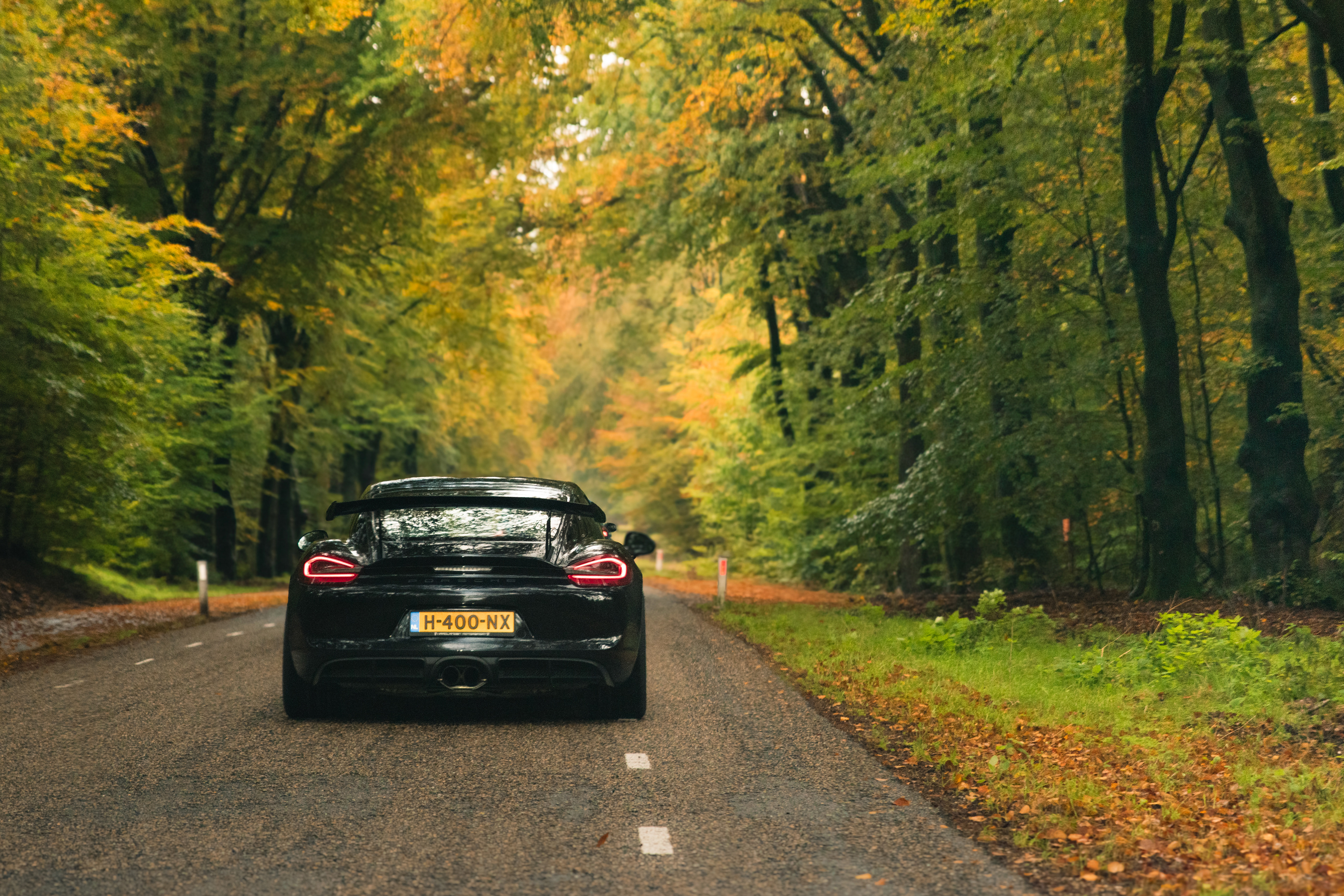 @dutchfastcupra Veluwerit