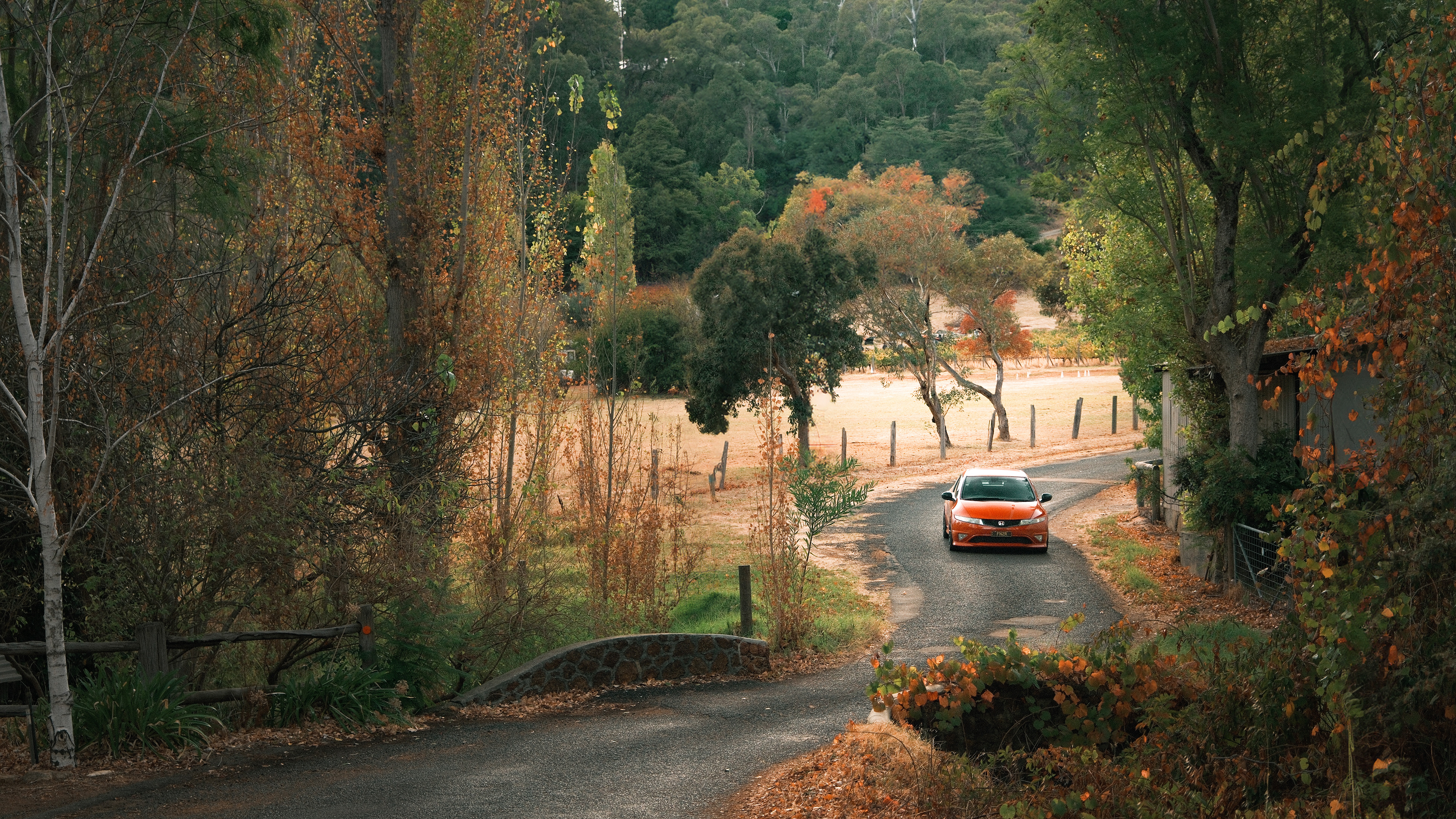 @mitchrevmedia FN2R Shoot