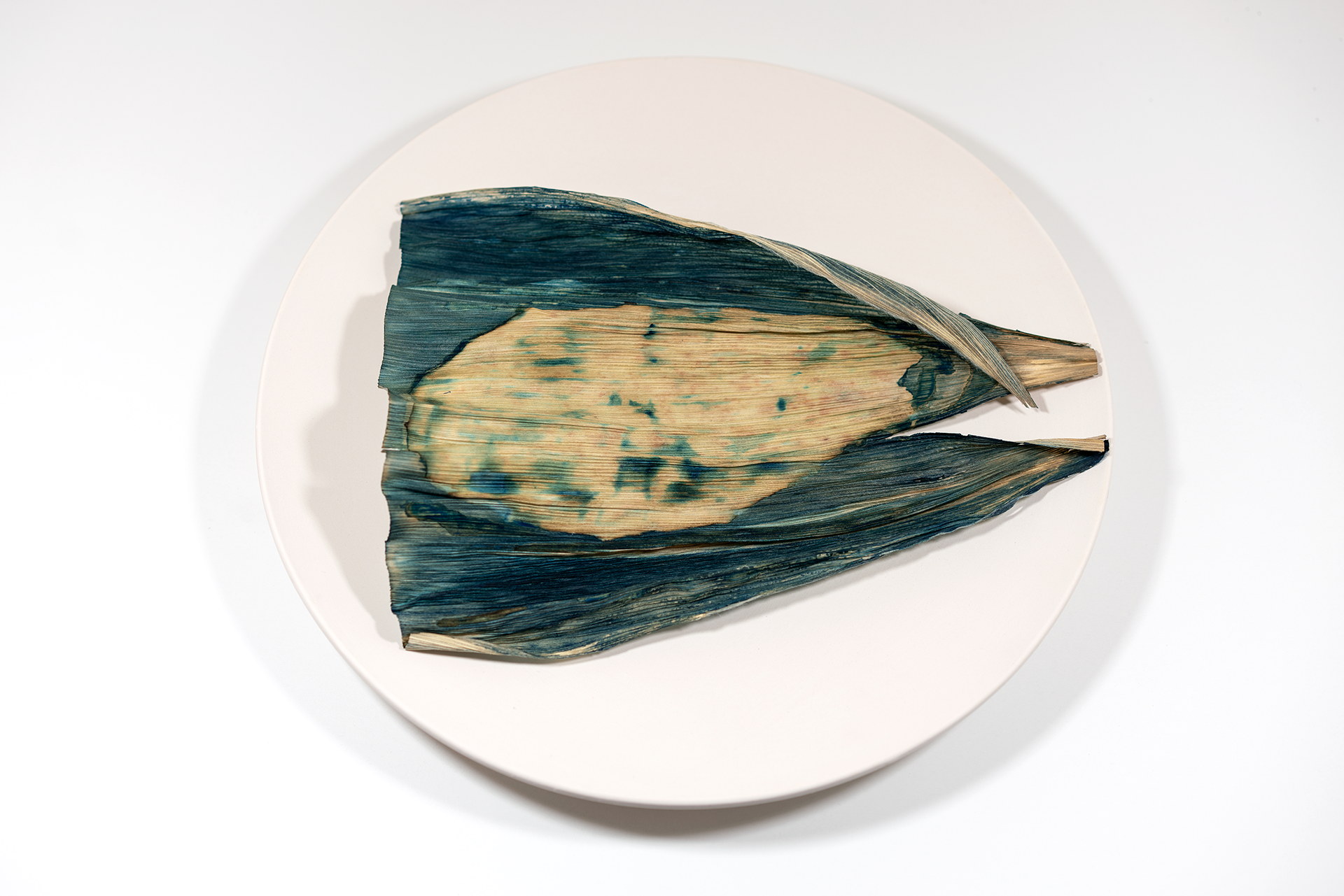 Nopal