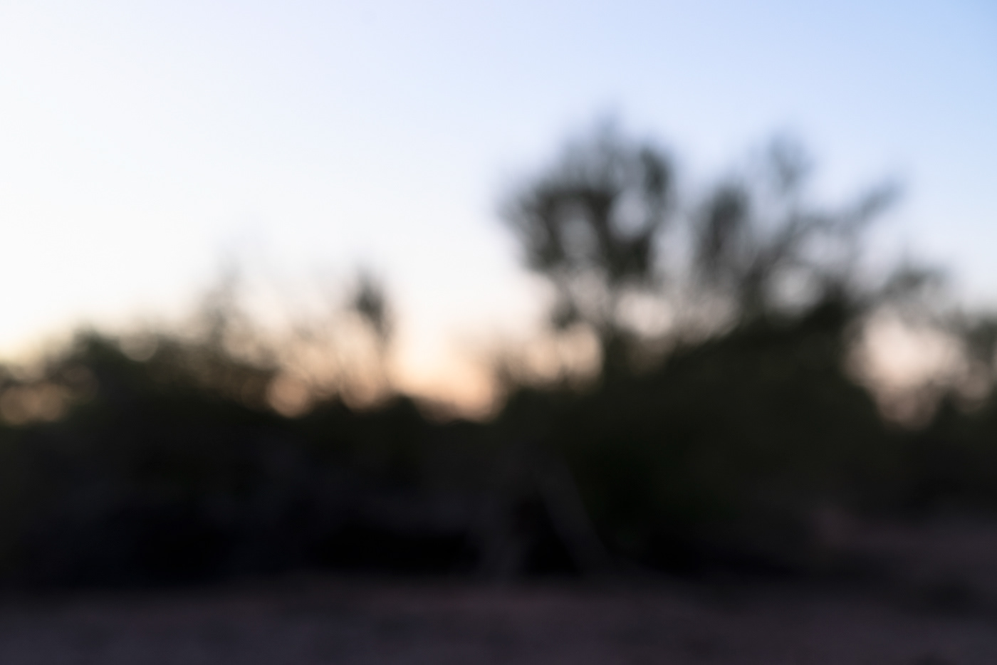 Desierto en la Noche_Ironwood Forest National Monument