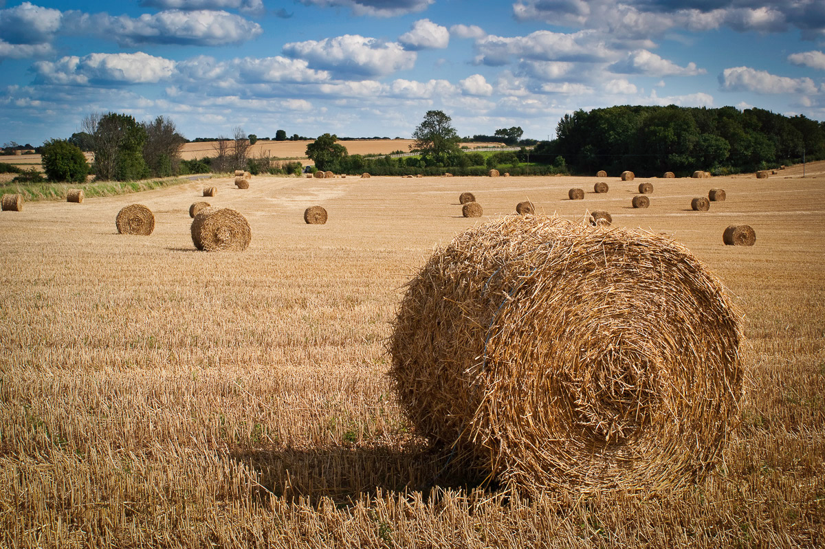 Womersley, Yorkshire