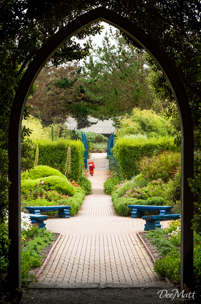 Abbey Gardens, Tresco, Isles of Scilly