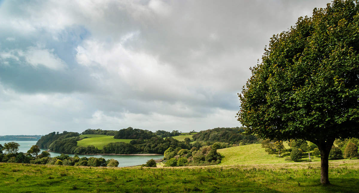 Trelissick