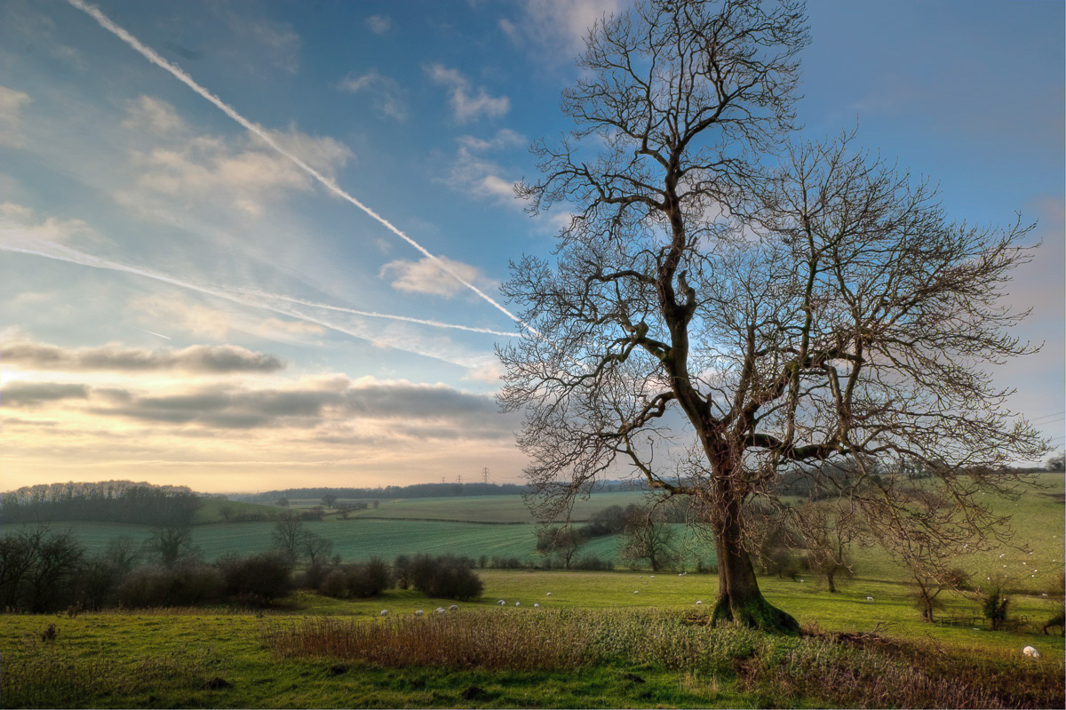 Near Ledsham, Yorkshire