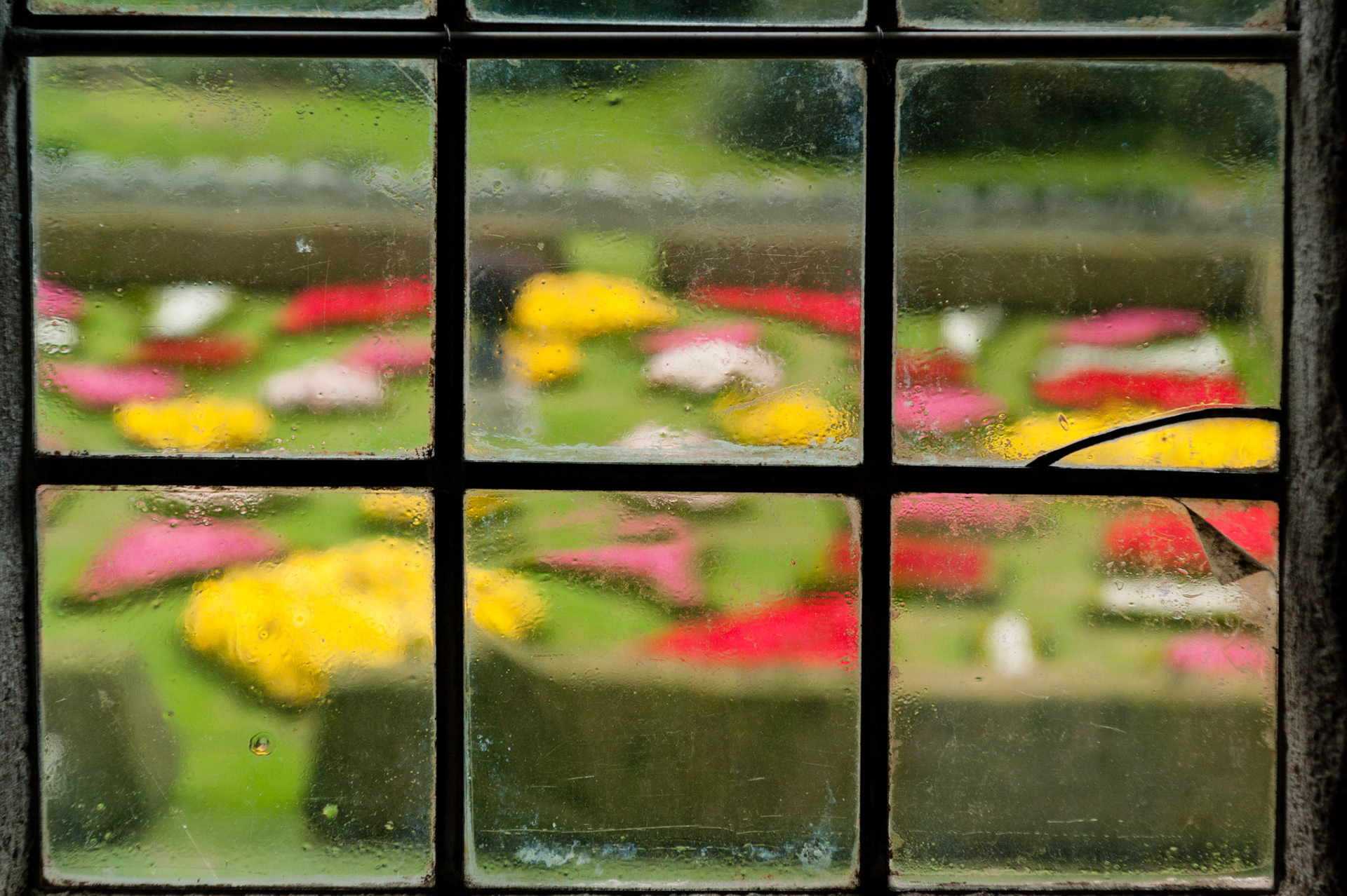 Lanhydrock House, Cornwall
