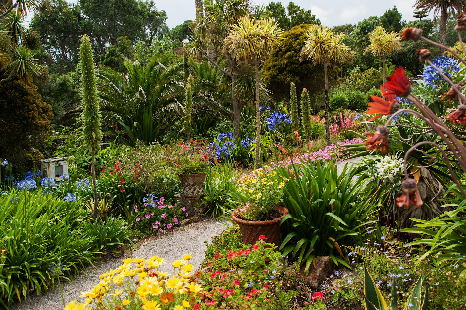 Abbey Gardens, Tresco, Isles of Scilly