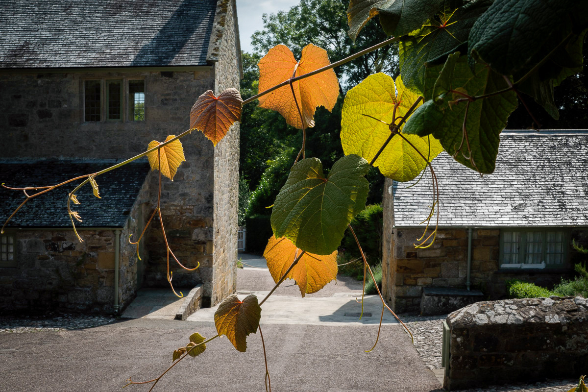 Trerice