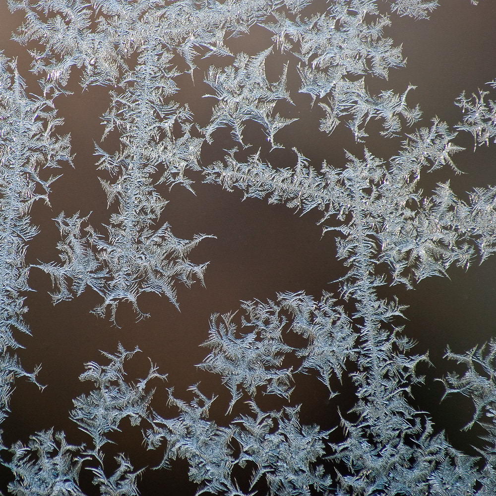 Frost on the conservatory window