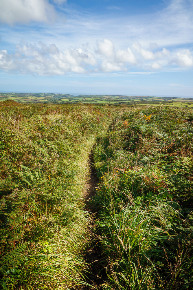 Footpath to Caer Bran