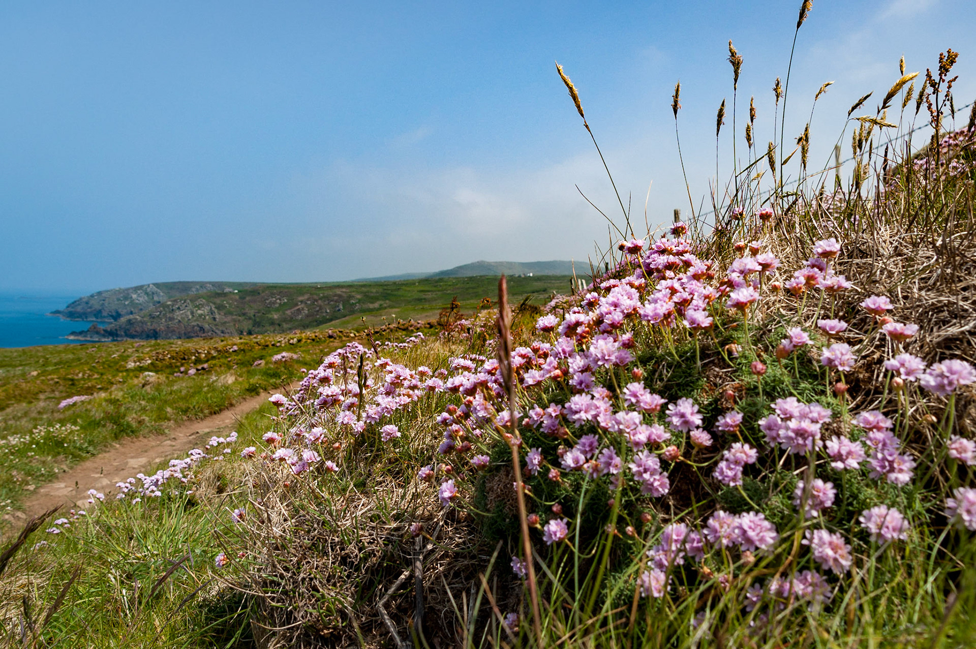 SW Coast Path near Gurnard's Head, Cornwall