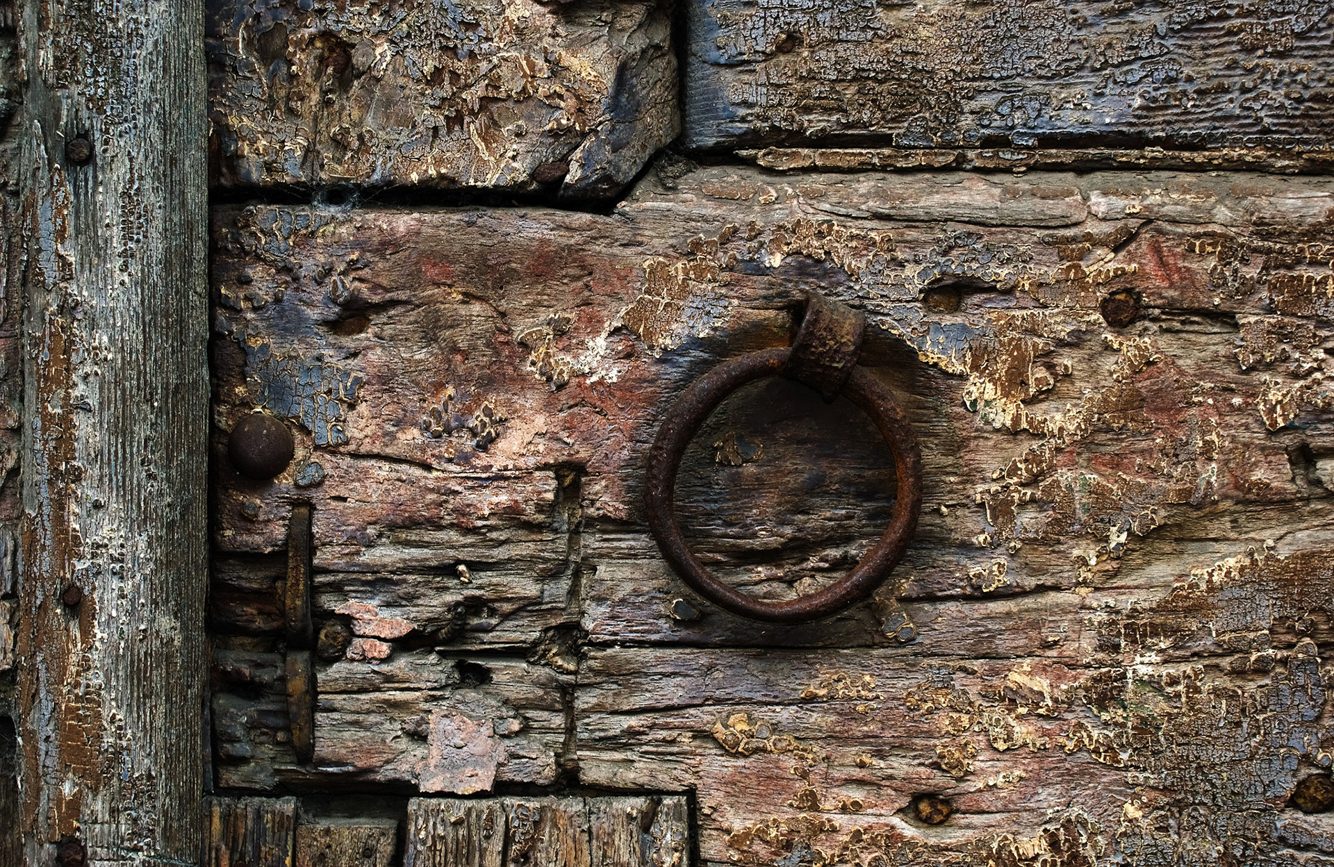 Garage door in Florence, Italy