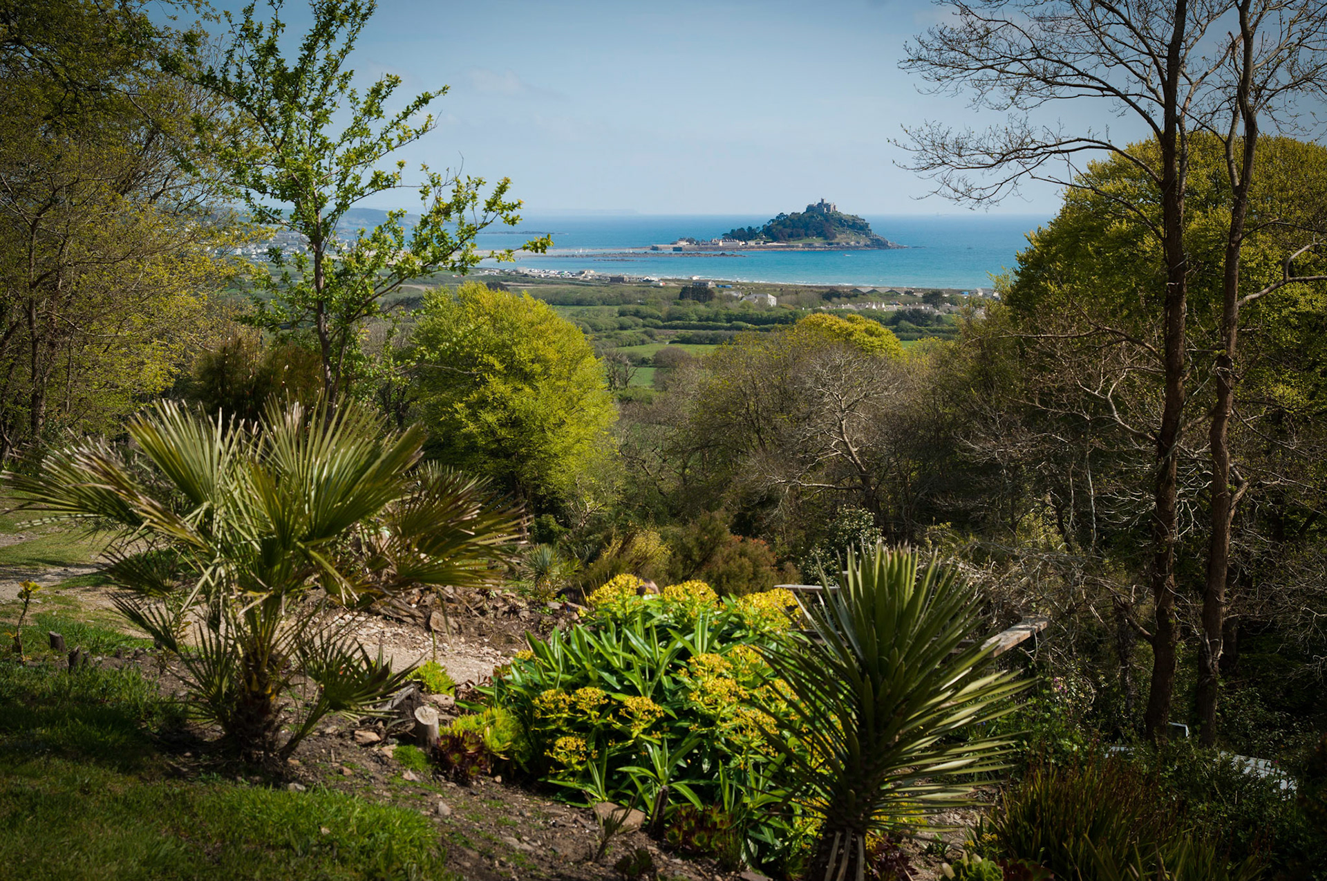 From Tremenheere Sculpture Gardens