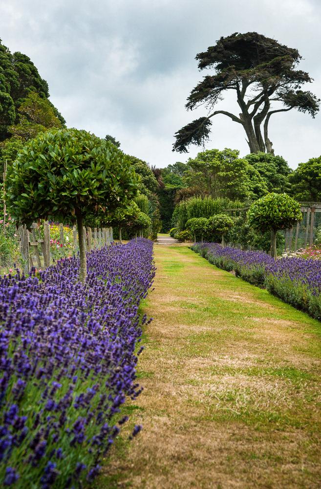 Abbey Gardens, Tresco, Isles of Scilly