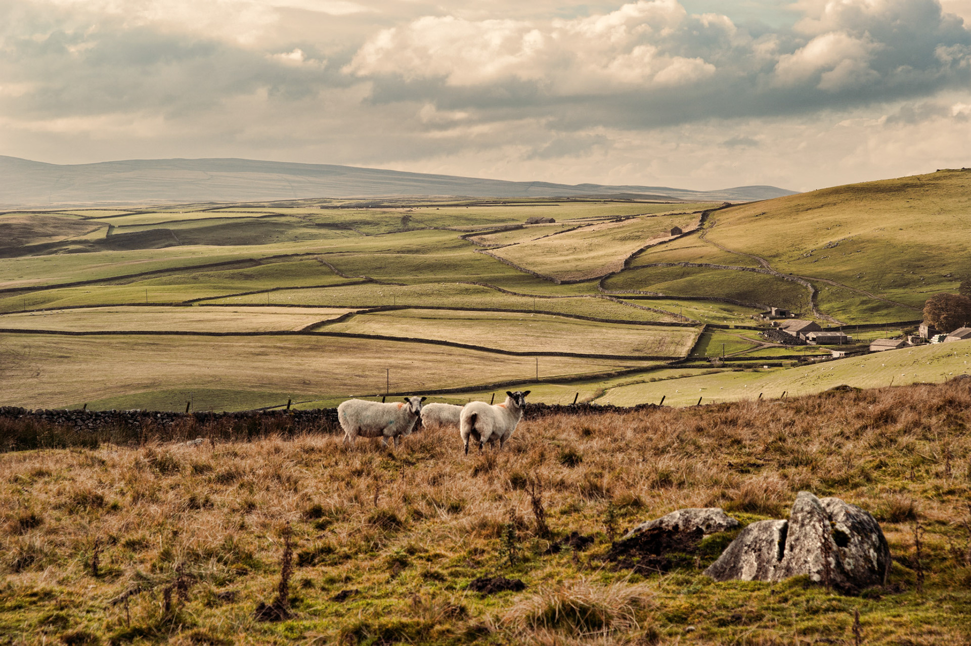 Near Threshfield, Yorkshire