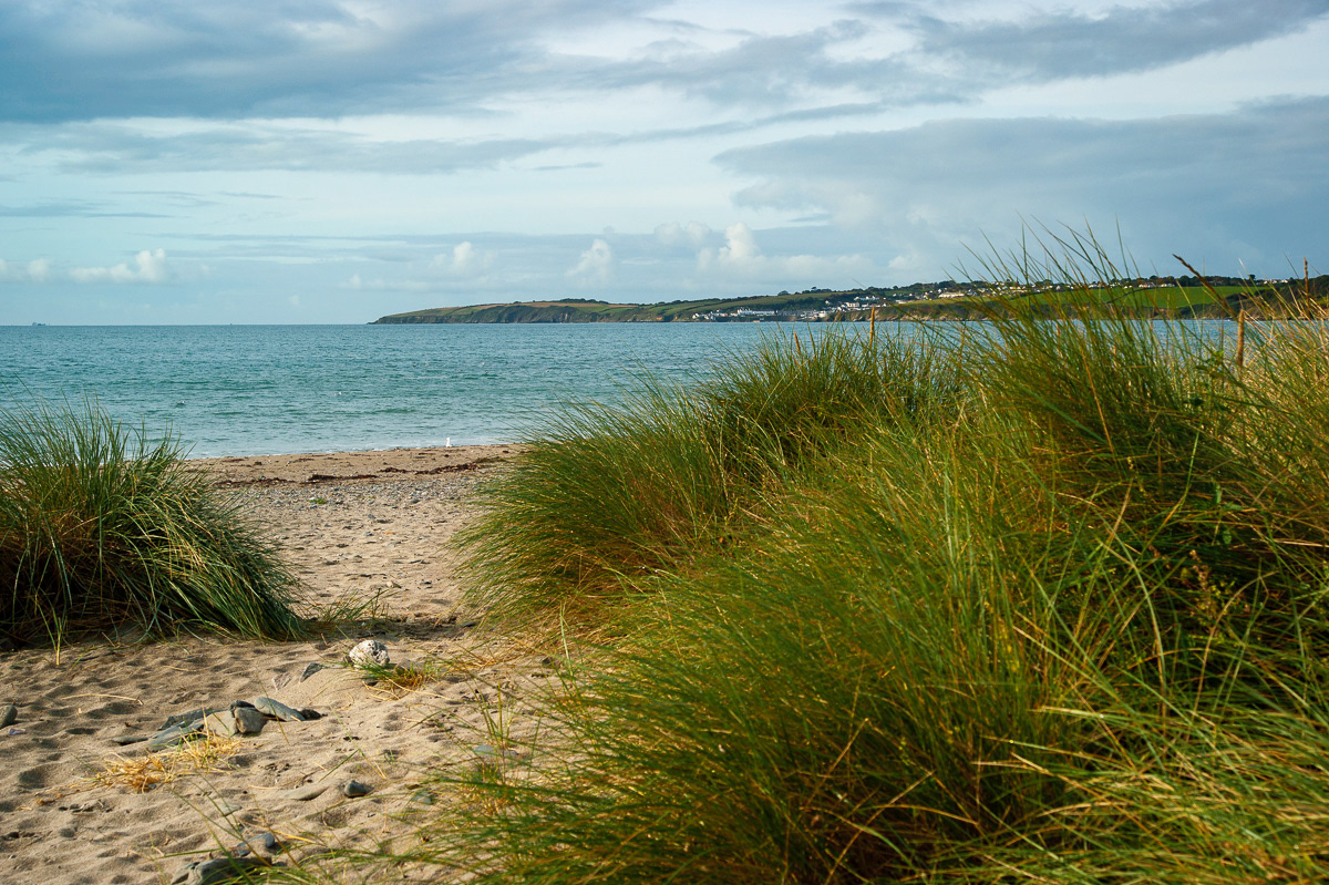 Glendower Beach, Roseland