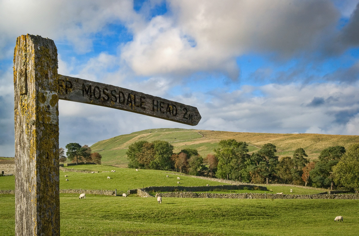 Wensleydale, Yorkshire