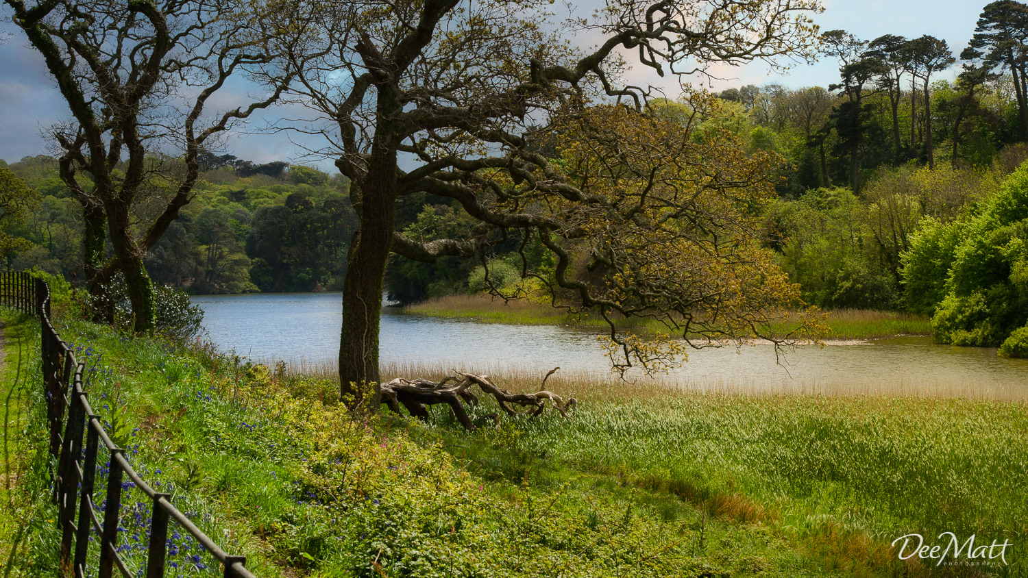 Penrose, between Helston and Porthleven