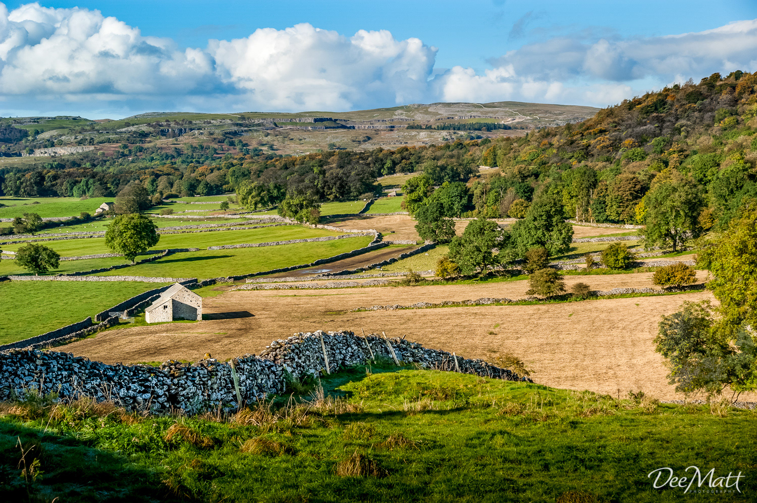 Near Grassington, Yorkshire