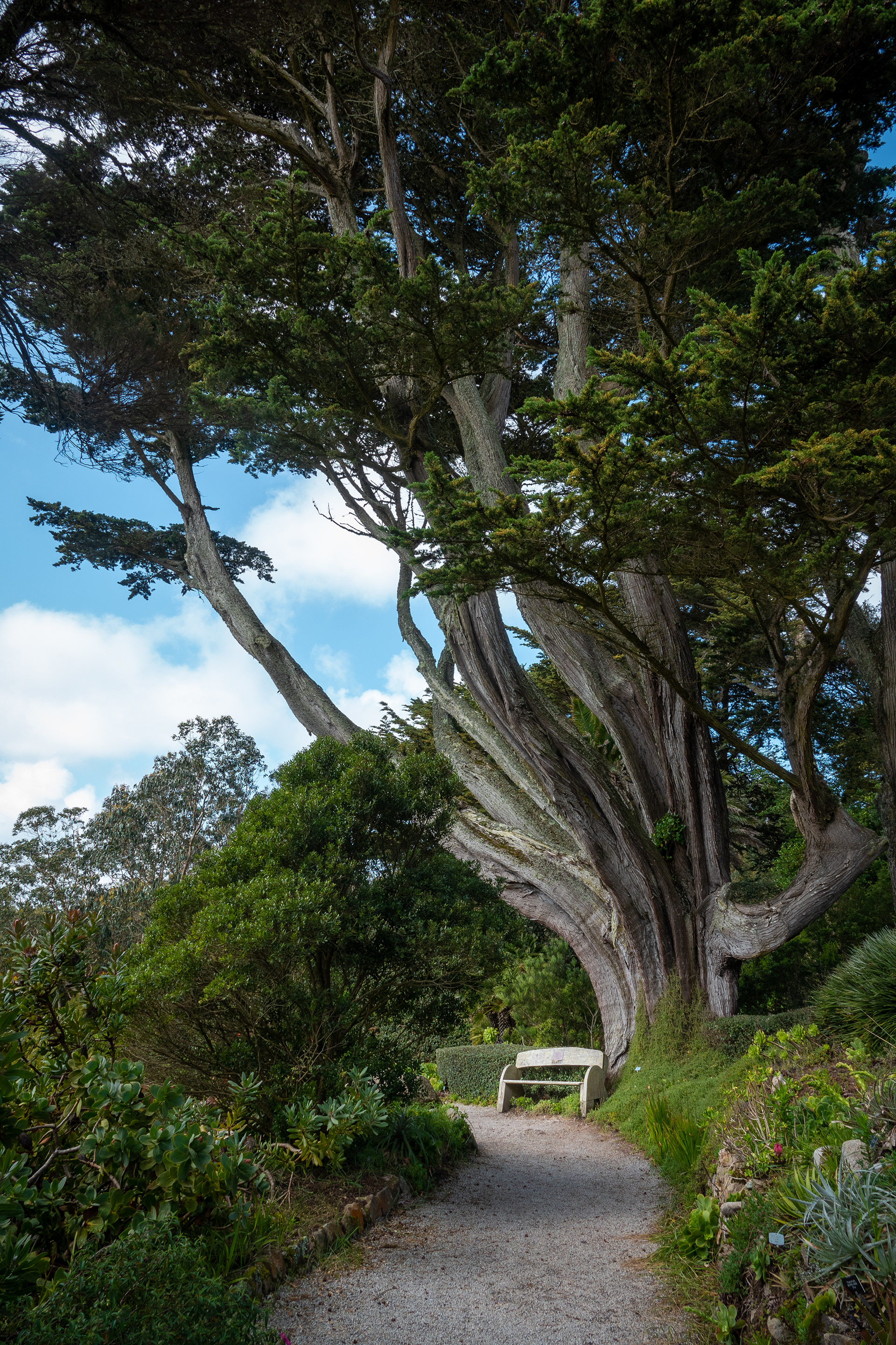 Abbey Gardens, Tresco