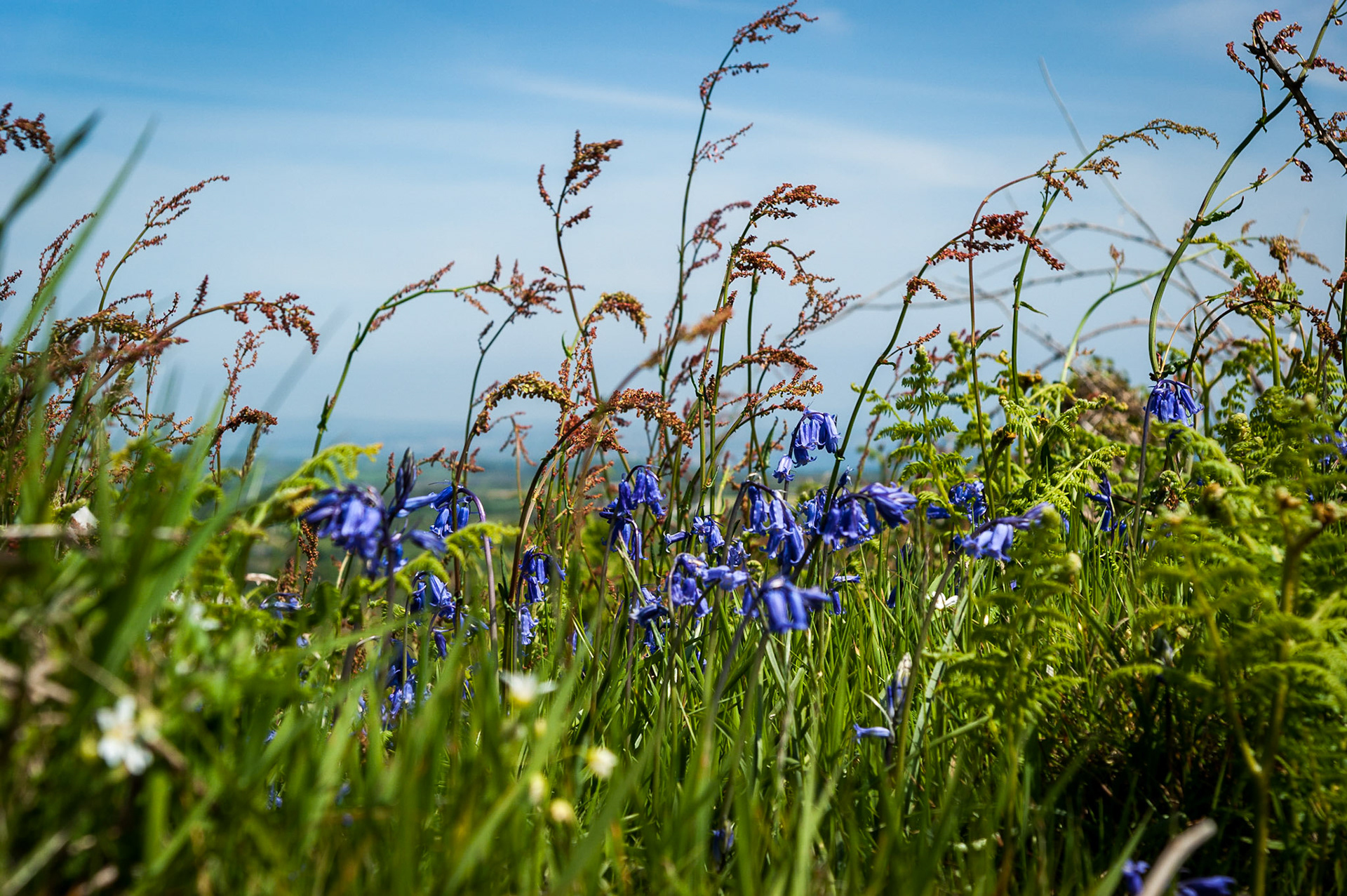 Near Ding Dong mine, Madron, Cornwall