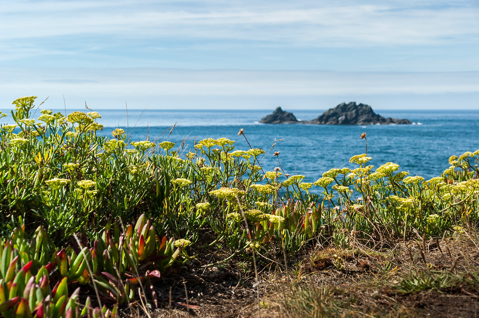 The Brisons, Cape Cornwall