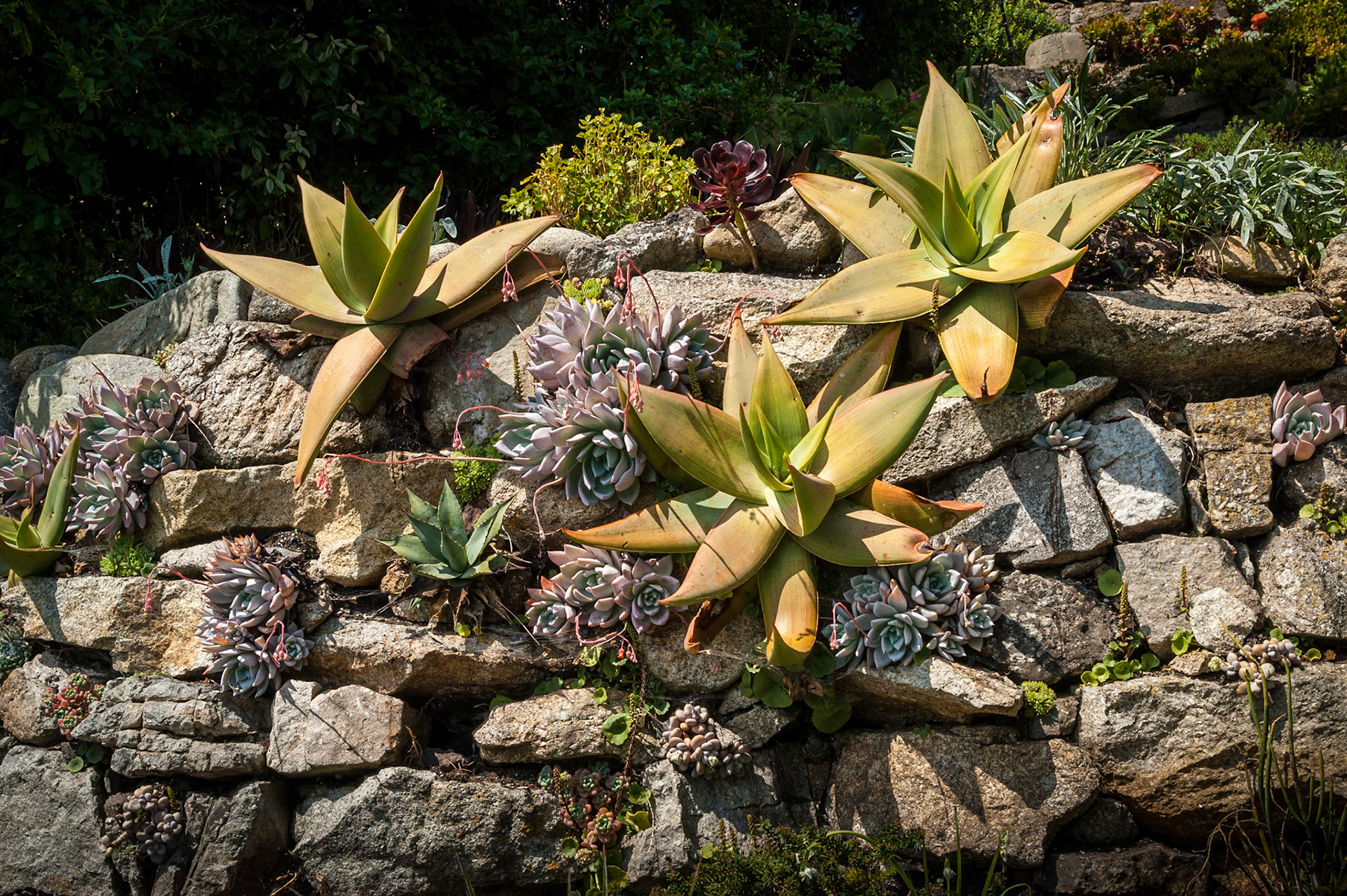 Bryher, Isles of Scilly
