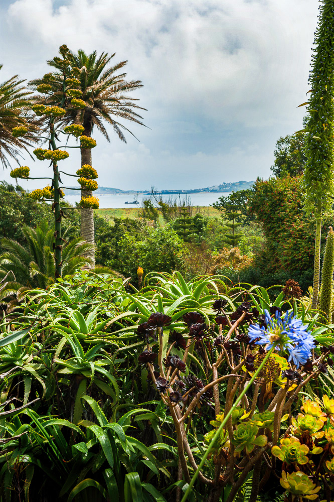 Abbey Gardens, Tresco, Isles of Scilly