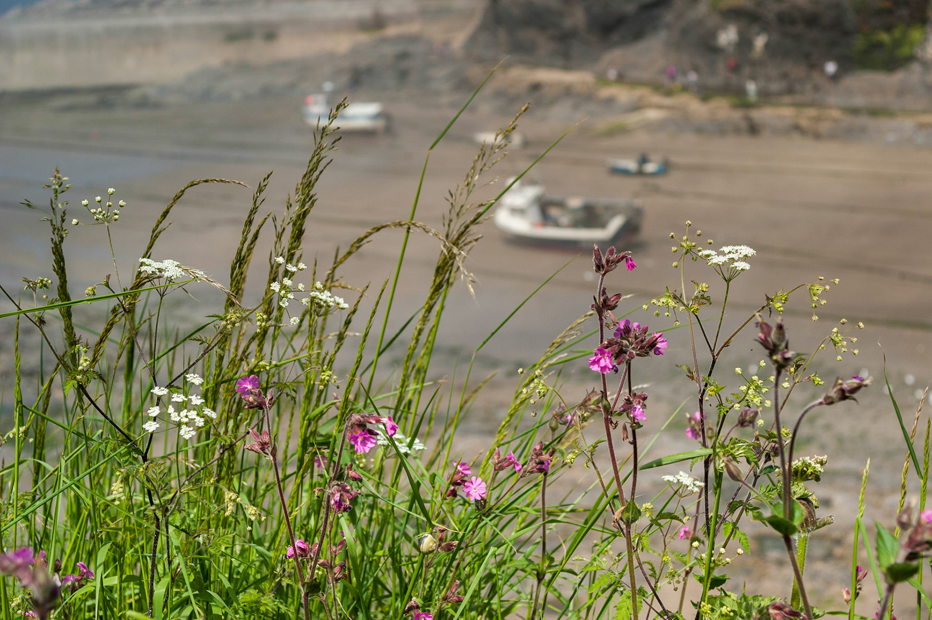 Port Isaac, Cornwall