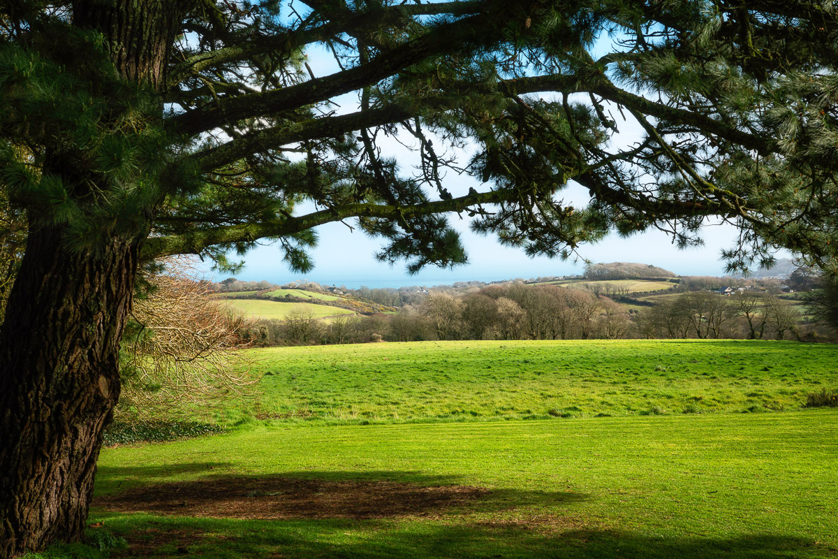 View towards the sea from Trengwainton Garden