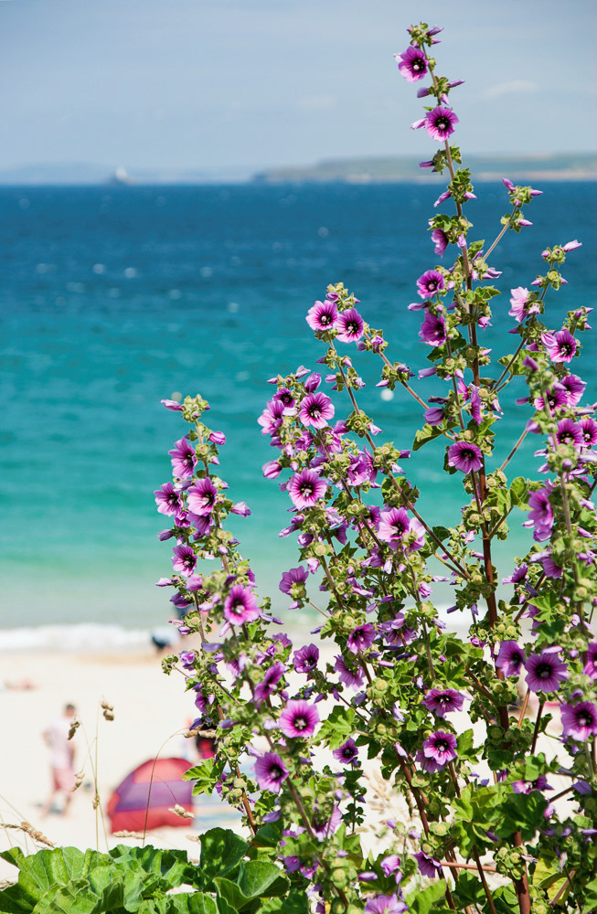 St Ives