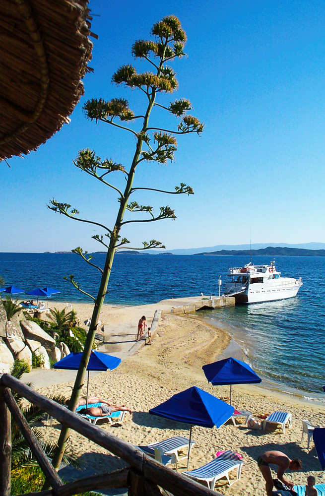 Halkidiki, Greece