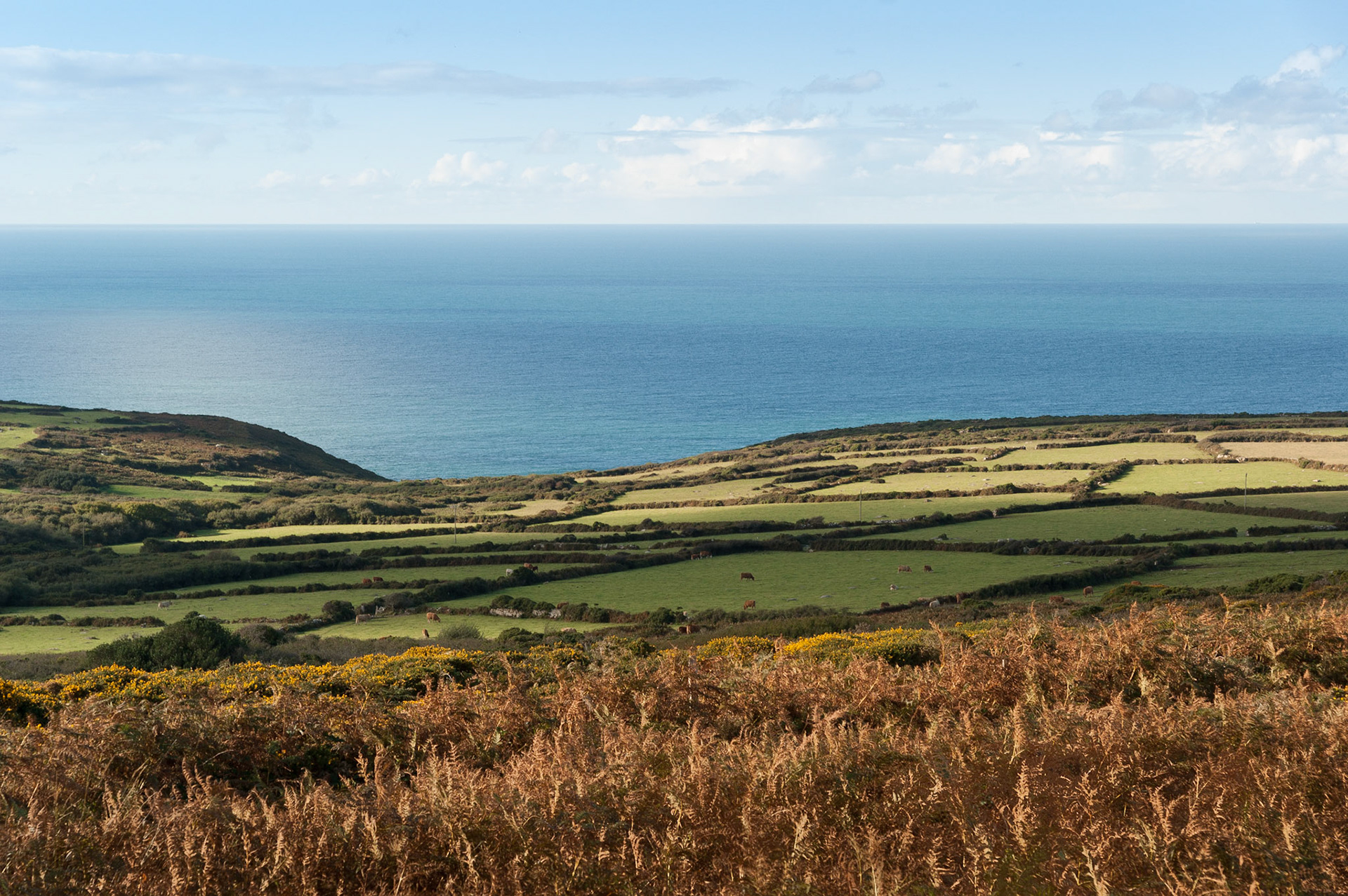 Coast between St Ives and Land's End