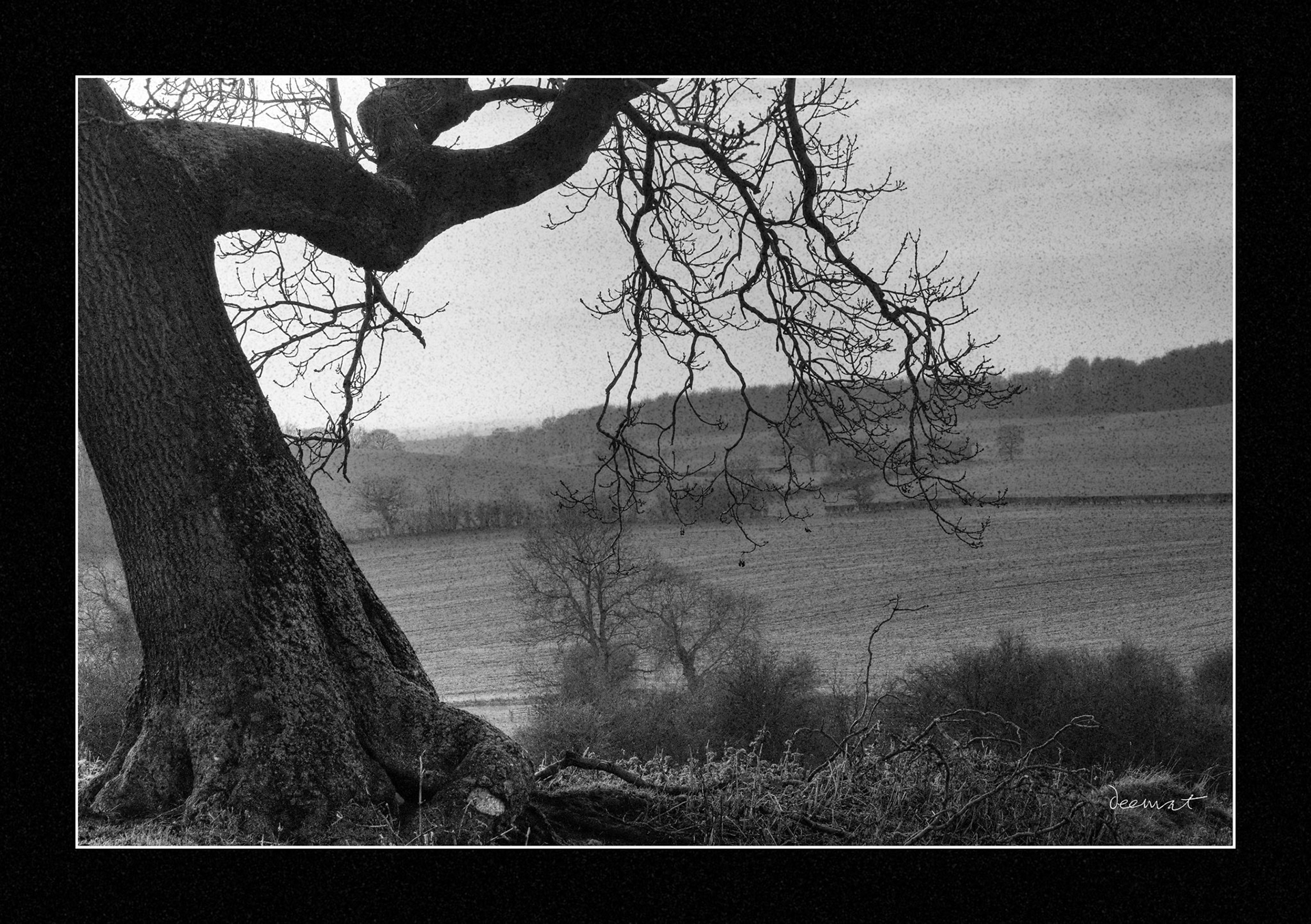 Near Ledsham, Yorkshire