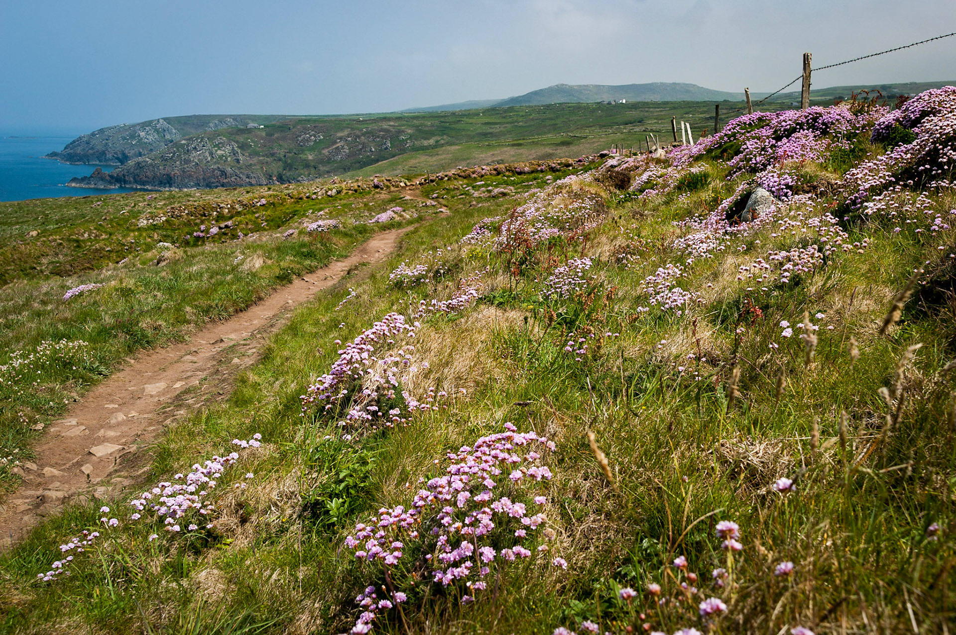 SW Coast Path near Gurnard's Head, Cornwall
