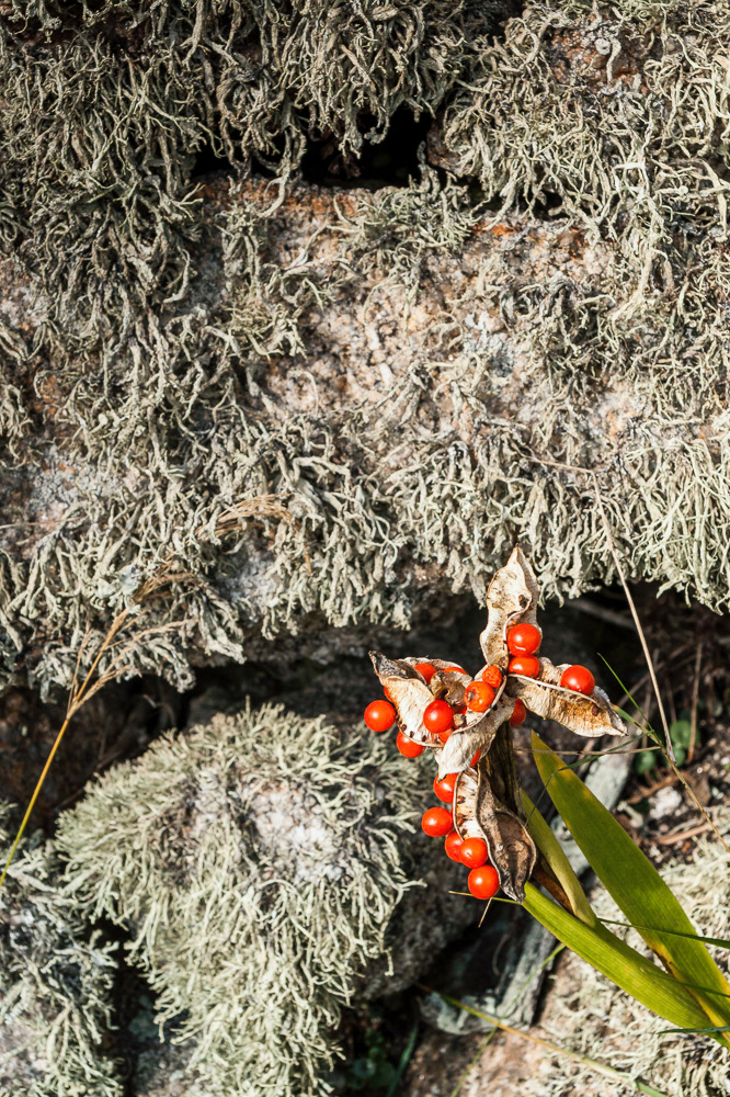 Bryher, Isles of Scilly