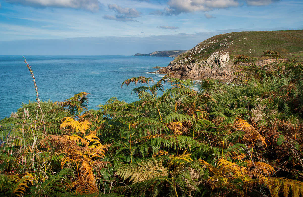 On the SW Coast Path near Pendeen