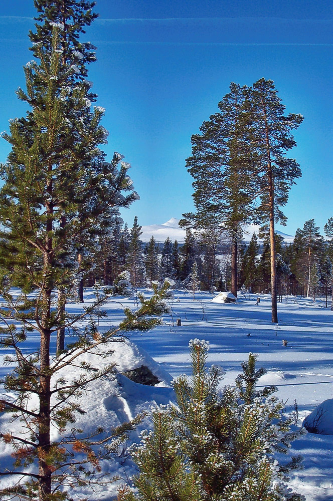 Winter in Norway