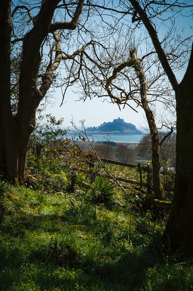 The Mount from Tremenheere Sculpture Gardens