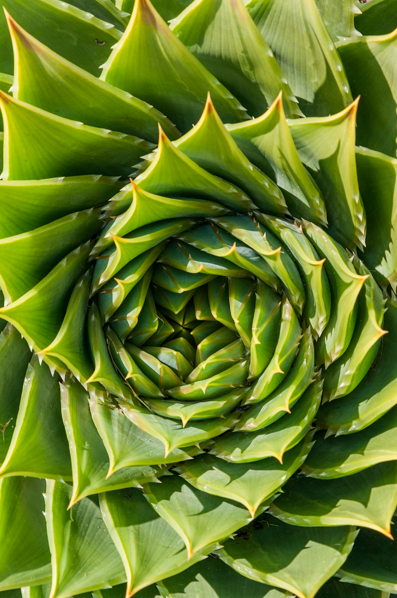 Bryher, Isles of Scilly