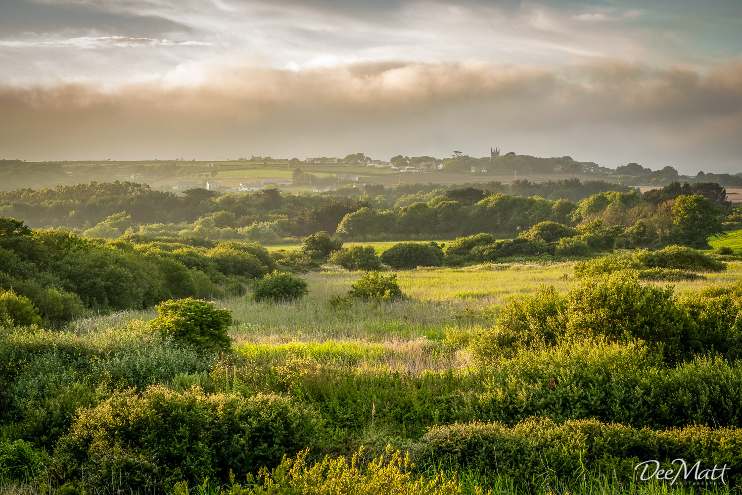 Marazion Marsh